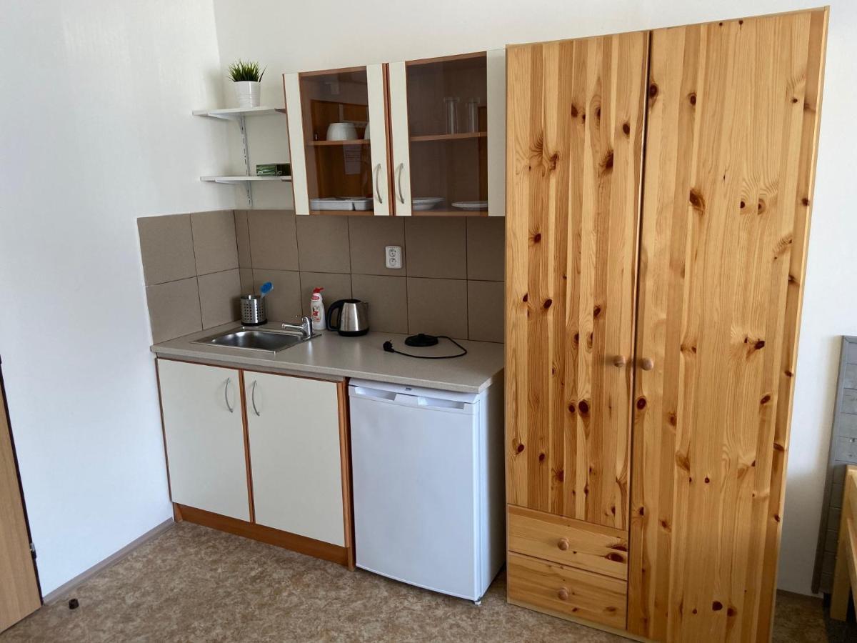 Apartmany Premyslova Градец-Кралове Экстерьер фото